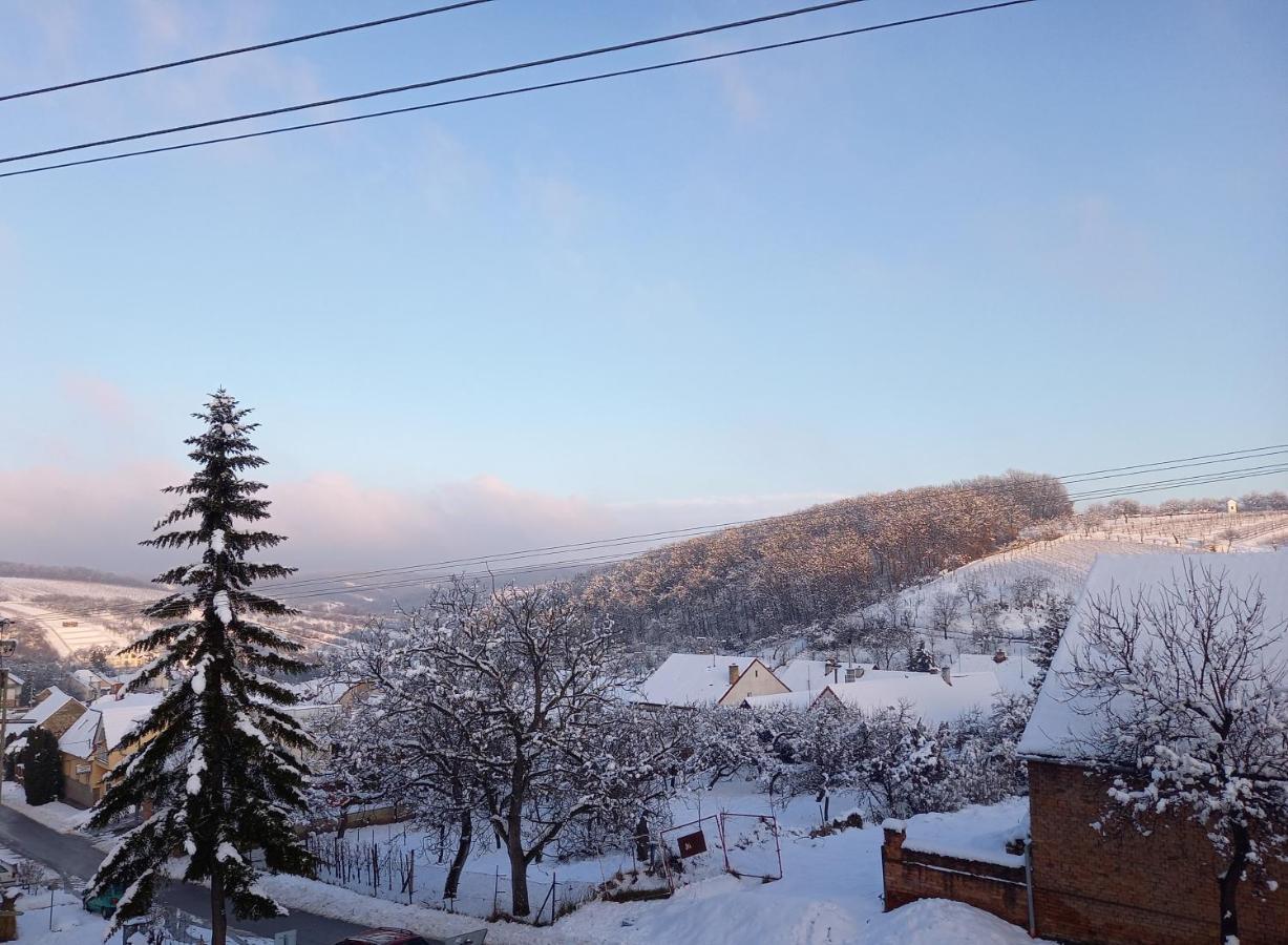 Apartmány 27 Němčičky Esterno foto